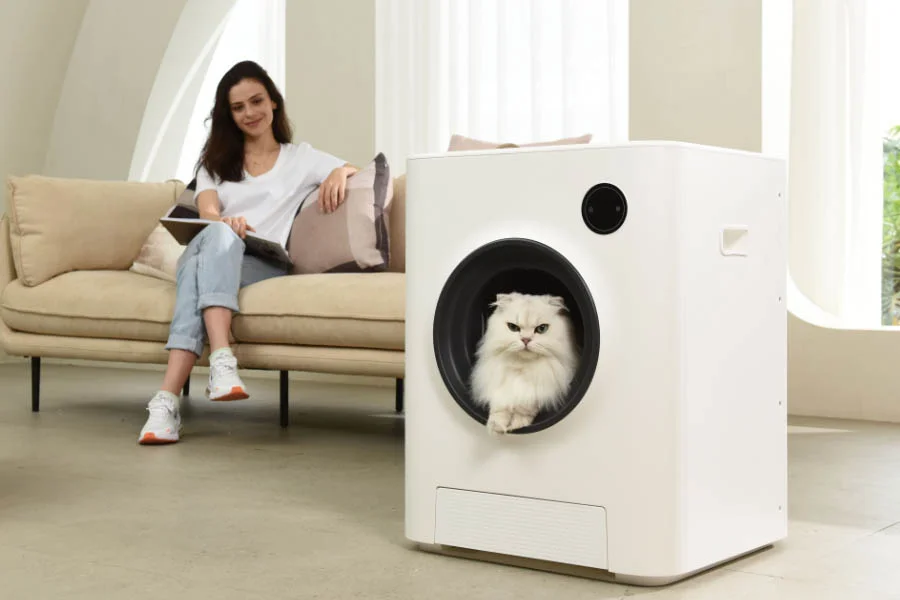 best litter box for kittens