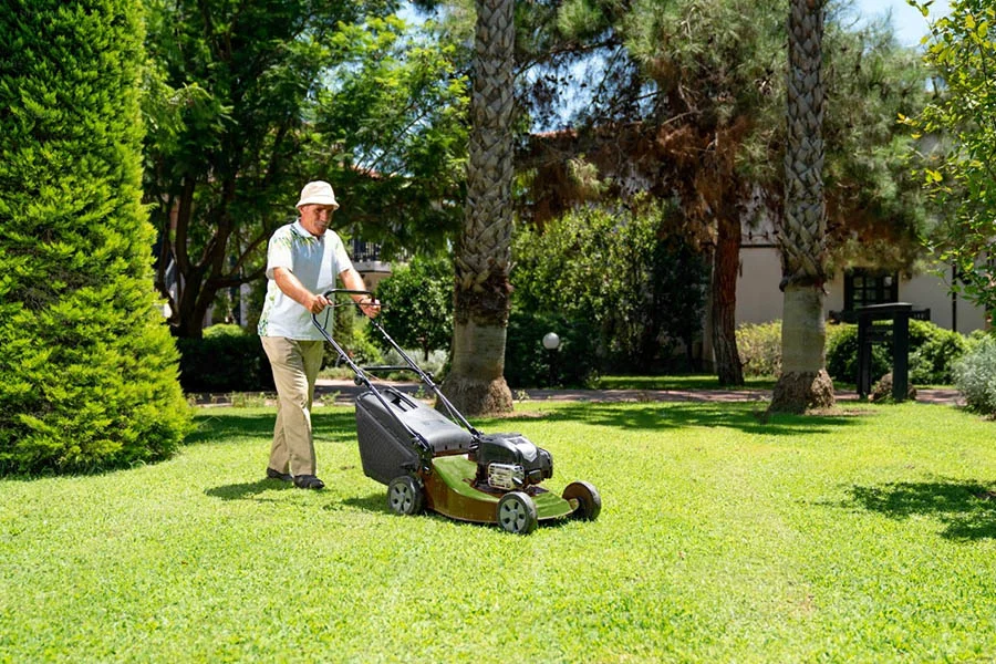 best electric self propelled lawn mower